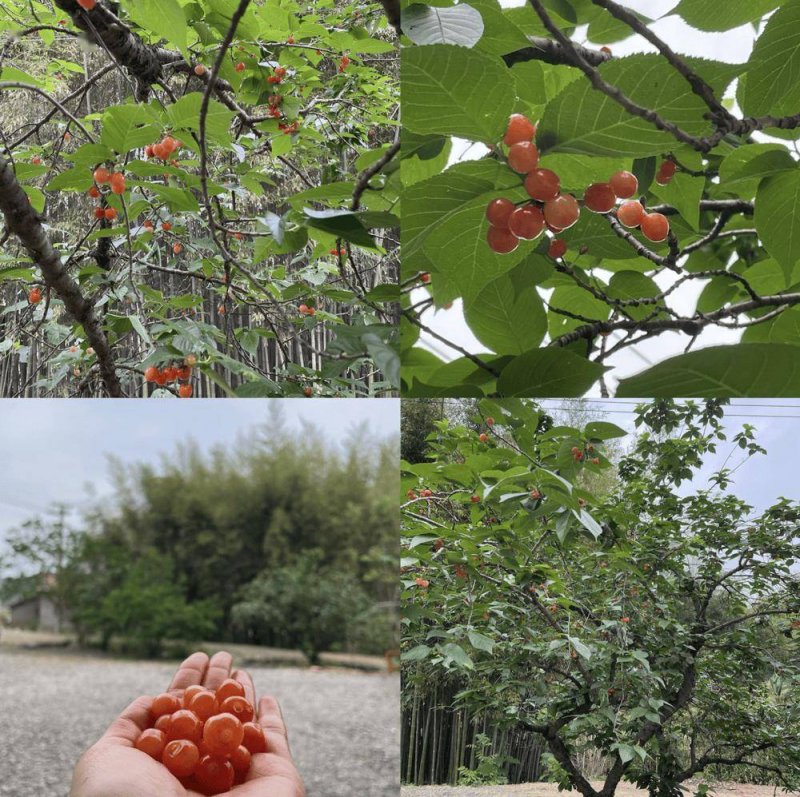 定州：节后上班第一天 收心聚力干劲足
